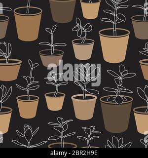 Jade Plants in Pots Vector Drawing Black and White Seamless Pattern ...