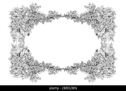 Decorative Frame from grapes and vines, hand drawn in sketch style. Vector illustration isolated on white. Stock Vector