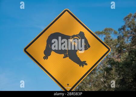 Road sign warning danger to motorsts of Koalas crossing  Pacific Palms NSW Australia Stock Photo