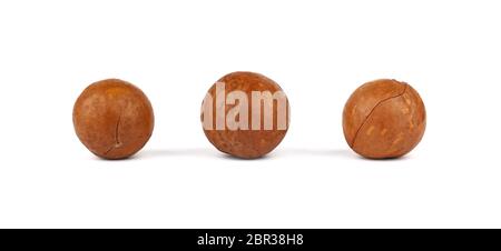 Close up three macadamia nuts isolated on white background, low angle side view Stock Photo