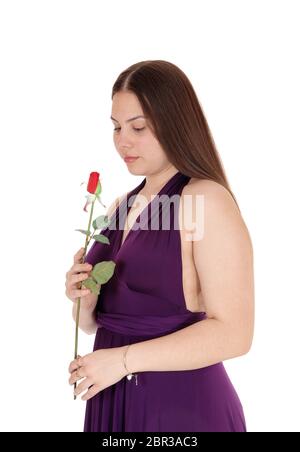 A beautiful young teenager girl standing in the studio in a burgundy drees and holding a red rose, isolated for white background Stock Photo