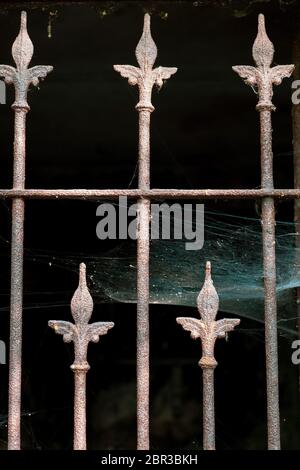Gate with rusty metal bars and spider web to ancient tomb in old necropolis Stock Photo