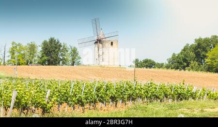 old windmill behind vineyards near Saint Emilion near Bordeaux France Stock Photo