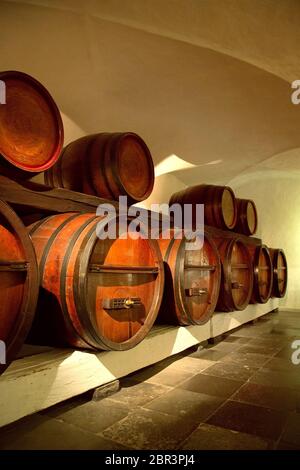 Wine barrels for storage in traditional cellar. Wine barrels in cellar. Cavernous wine cellar with stacked oak barrels for maturing red wine. Storage Stock Photo