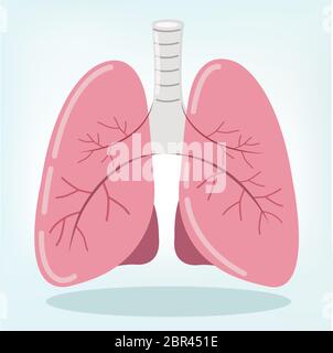 Strong lung Autopsy medical concept, 3D display. Stock Photo