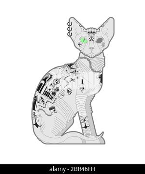 Sphynx cat with tattoo. Pet bully and criminal. Bad boy animal Stock Vector