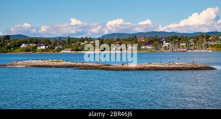 Oslo, Ostlandet / Norway - 2019/09/02: Panoramic view of Oslofjord harbor with Cormorant sea birds resting on a rock with Bigdoy Oslo district in back Stock Photo