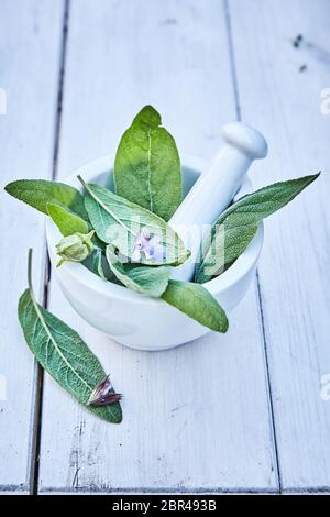 Fresh green salvia leaves in a mortar with pastle on white wooden table, viewed from high angle in closeup Stock Photo