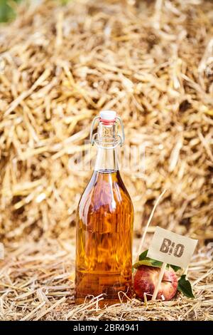 Reusable glass bottle with freshly made apple juice or cider alongside fresh fruit and a Bio label on a straw background with copy space Stock Photo