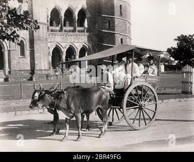 Carriage drawn by oxen, gharry or gharrie, India Stock Photo