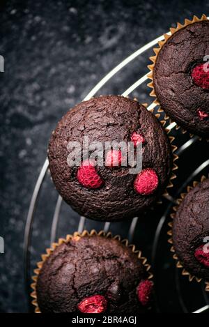 Chocolate Raspberry Muffins Stock Photo