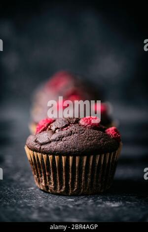 Chocolate Raspberry Muffins Stock Photo