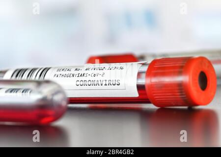 Coronavirus test concept - vials with blood placed on desk, closeup detail (label is own design, data and barcode are dummy) Stock Photo