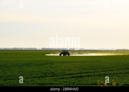 Tractor with the help of a sprayer sprays liquid fertilizers on young wheat in the field. The use of finely dispersed spray chemicals. Stock Photo