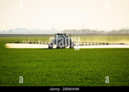 Tractor with the help of a sprayer sprays liquid fertilizers on young wheat in the field. The use of finely dispersed spray chemicals. Stock Photo