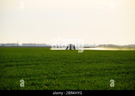 Tractor with the help of a sprayer sprays liquid fertilizers on young wheat in the field. The use of finely dispersed spray chemicals. Stock Photo