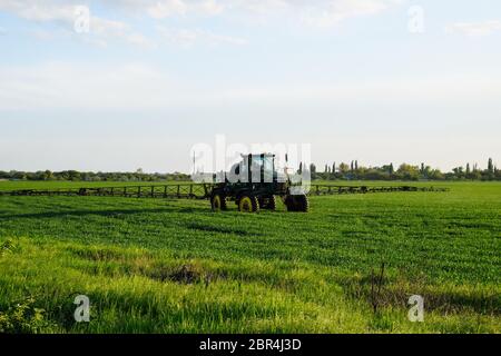 Tractor with the help of a sprayer sprays liquid fertilizers on young wheat in the field. The use of finely dispersed spray chemicals. Stock Photo