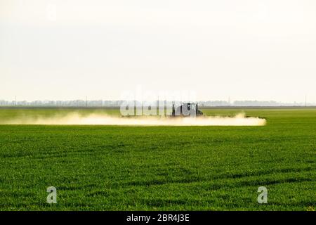 Tractor with the help of a sprayer sprays liquid fertilizers on young wheat in the field. The use of finely dispersed spray chemicals. Stock Photo