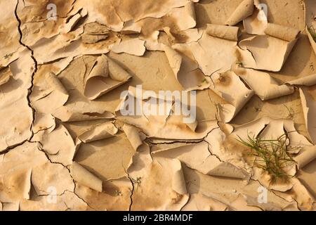 Close-up of fascinating natural shapes and distinct desiccation cracks in the semi-desert natural region Bardenas Reales, Navarra, Spain Stock Photo