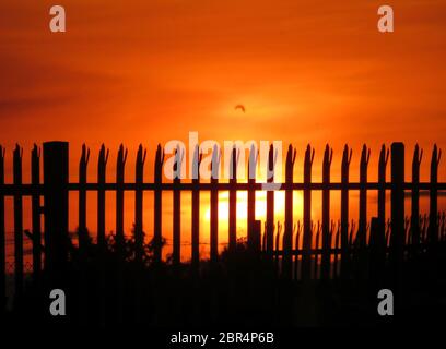 close up of huge yellow sun setting behind a picket fence in the countryside Stock Photo