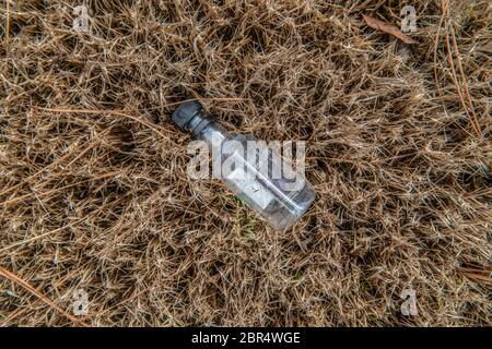 An empty discarded mini plastic liquor bottle laying on the grass alongside the road thrown to the ground as garbage polluting the environment Stock Photo