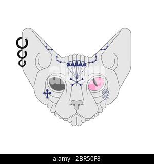 Sphynx cat with tattoo. Pet bully and criminal. Bad boy animal Stock Vector