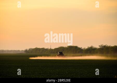 Tractor with the help of a sprayer sprays liquid fertilizers on young wheat in the field. The use of finely dispersed spray chemicals. Stock Photo