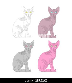 Sphynx cat set. hairless cat breeds. Pet vector illustration Stock Vector