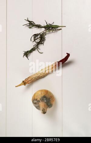 Rotten onions and red peppers, dried branches of rosemary. Food waste concept. Stock Photo