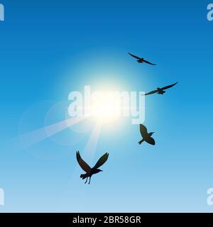 flying birds in sunny sky vector illustration EPS10 Stock Vector