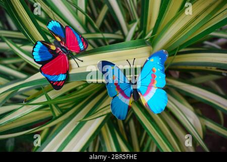 Red Craft Butterflies, Artificial Butterflies, Butterfly for DIY