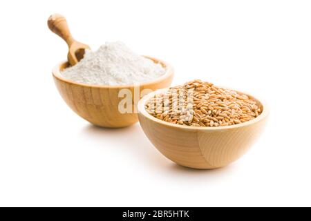 Wheat grains and whole grain wheat flour isolated on white background. Stock Photo