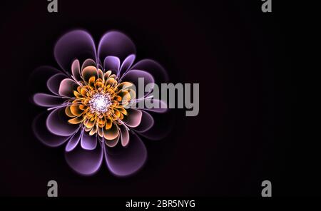 Abstract fractal flower computer generated image, for design, backgrounds, wallpaper Stock Photo