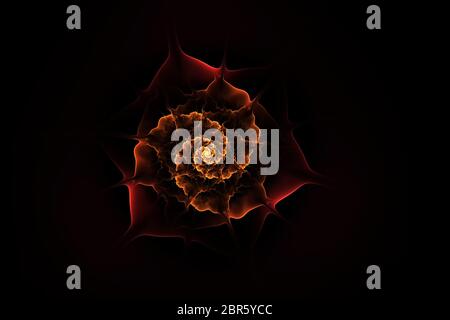 Abstract fractal flower computer generated image, for design and background. Stock Photo