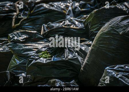Pile Of Black Garbage Bags At City Street Waste Management In Large Cities  Stock Photo - Download Image Now - iStock