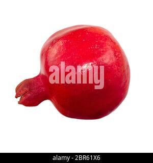 Isolated pomegranate. One whole pomegranate fruit isolated on white background. Fresh raw fruit. Side view Stock Photo