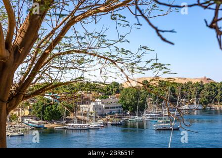 View of the boats on river Nile in Aswan, Egypt Stock Photo