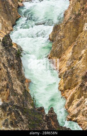 upper falls on the day in yellow stone Yellowstone National park,Wyoming.usa. Stock Photo