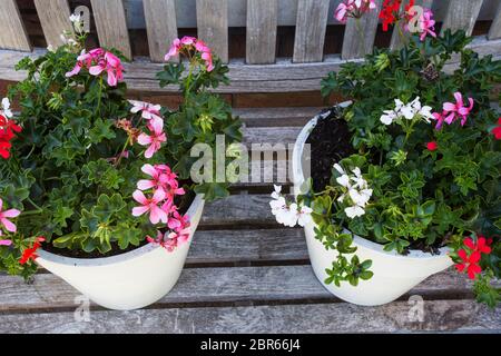 Two garden pots filled with colorful flowers on a wooden bench summer Stock Photo