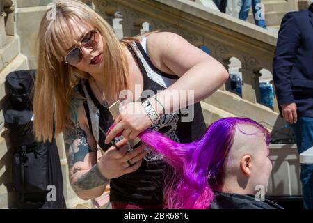 Lansing, Michigan, USA. 20th May, 2020. Barbers give free haircuts on the lawn of the Michigan State Capitol to protest Governor Gretchen Whitmer's emergency orders which keep many businesses closed during the coronavirus pandemic. The protest, called Operation Haircut, was organized by the Michigan Conservative Coalition. Credit: Jim West/Alamy Live News Stock Photo