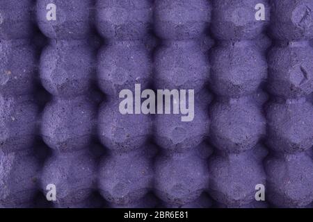 purple protective tray for raw chicken eggs with cells, full frame, close up Stock Photo
