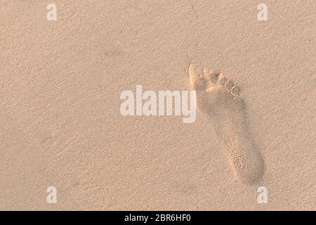Human footprint in wet sand on the beach Stock Photo