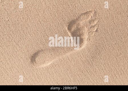 Human footprint in wet sand on the beach, close-up photo, top view Stock Photo