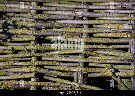 willow weave fence texture, background with copyspace Stock Photo
