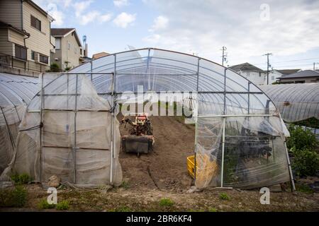 Small mechanized push plow sits idle in outdoor greenhouse on small farm Stock Photo