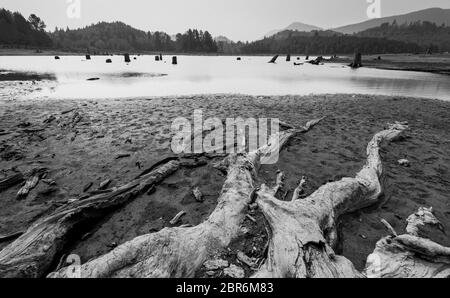 sense of sunny beach point when low water level in summer in mt. rainier area,Wa,usa. Stock Photo