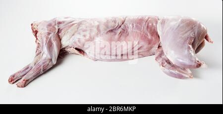 Uncooked cleaned and skinned wild rabbit ready for preparing a delicious venison roast lying on a white background Stock Photo