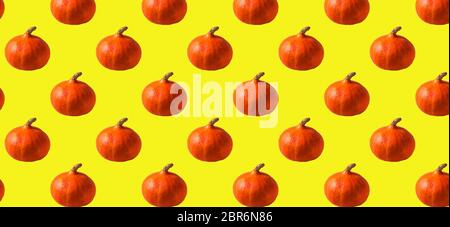 Seamless Pattern with orange pumpkin on yellow color background,panorama. Stock Photo