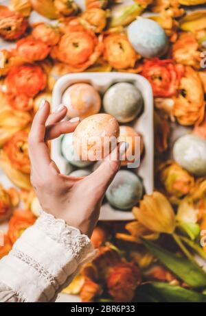 Womans hand holding colorful dyed Easter egg over white ceramic egg holder and blooming orange flowers background, top view Stock Photo