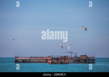 Seagulls flying by a mussel farm in the Black Sea. Stock Photo